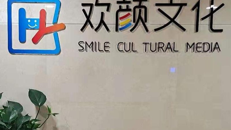品牌策划与VI设计打包报价：揭秘背后的价值与考量
