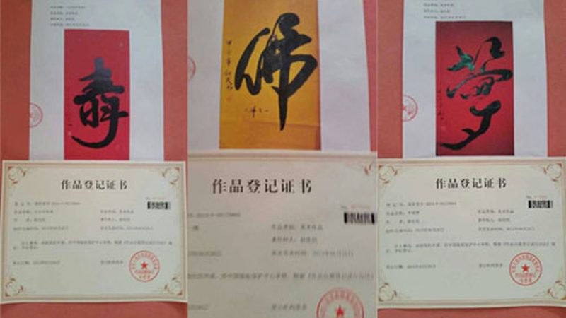 成都抖音媒介投放报价：揭秘背后的逻辑与策略